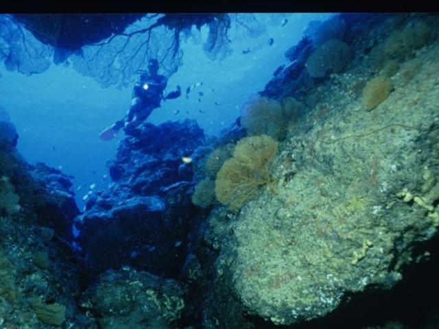 农行积石山县大河家支行临时网点投入运营