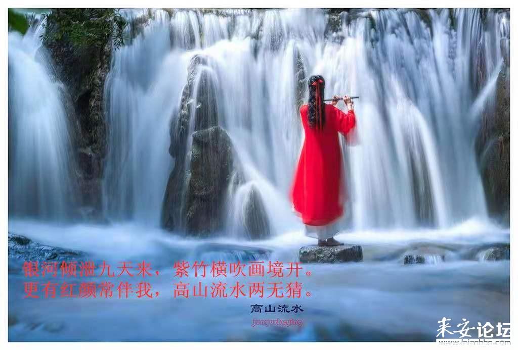 拯救精灵的土地8